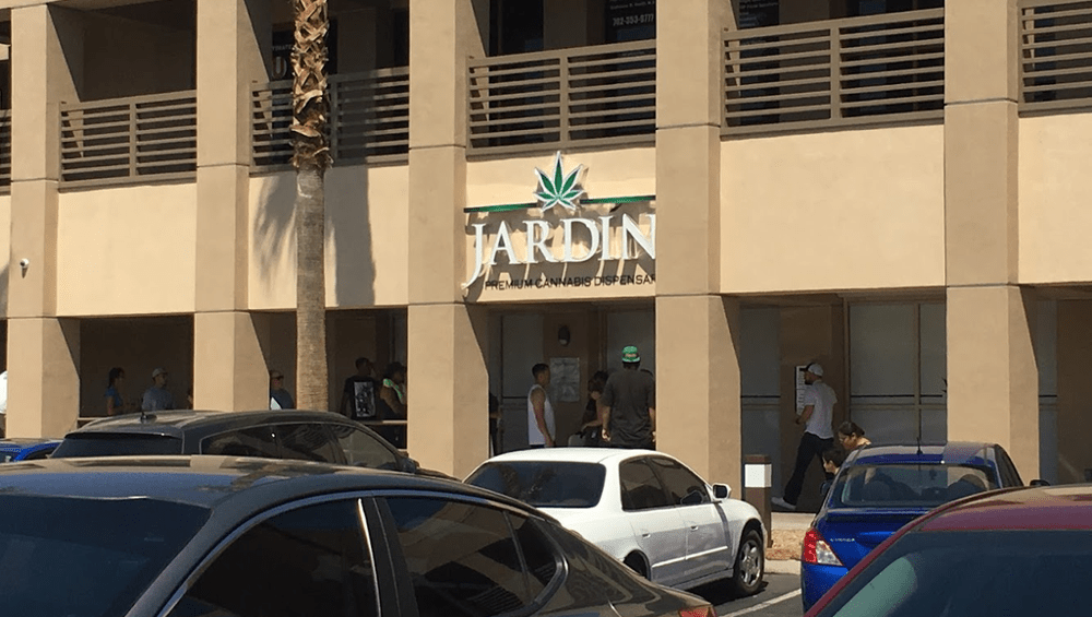 The Human Side of Cannabis Loyalty Programs: A Budtender’s Story